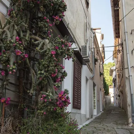 شقة Apartma Tayana - With Affordable Parking !!! بيران