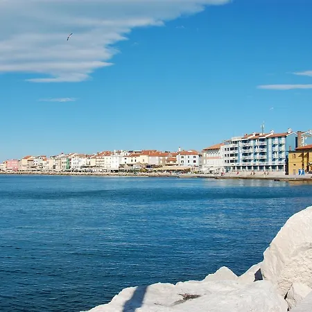 Apartma Tayana - With Affordable Parking !!! Apartmán