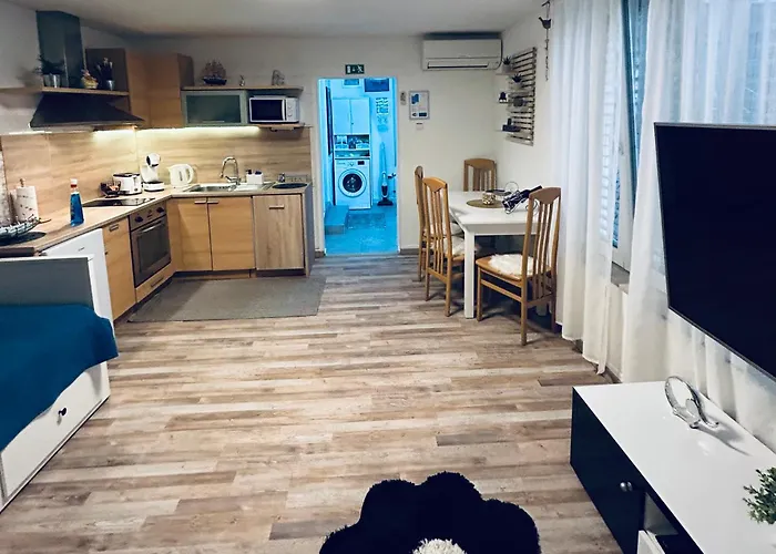 Apartma Tayana - With Affordable Parking !!! Lägenhet *