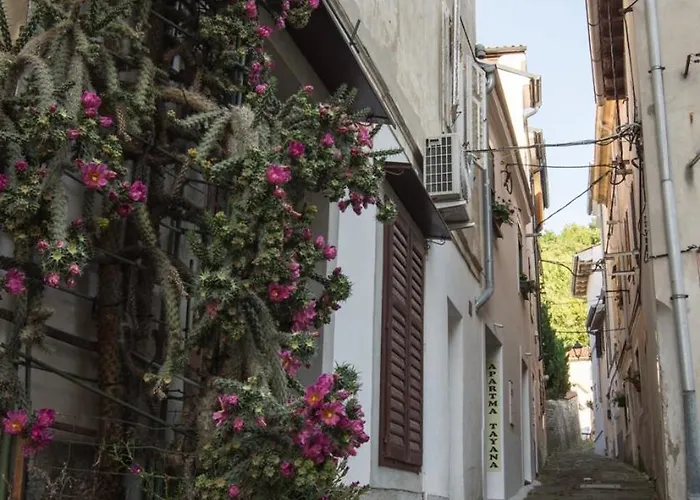 Lägenhet Apartma Tayana - With Affordable Parking !!! Piran